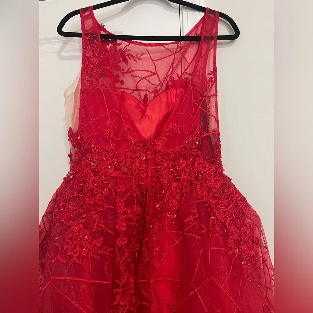 Andrea and Leo Embroidered and Beaded ball gown - Picture 8 of 8